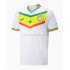 Senegal Voetbalshirt Thuis Tenue WK 2022 Korte Mouw