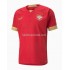 Servië Voetbalshirt Thuis Tenue WK 2022 Korte Mouw