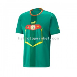 Senegal Voetbalshirt Heren Uit Tenue WK 2022 Korte Mouw