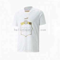 Servië Voetbalshirt Heren Uit Tenue WK 2022 Korte Mouw