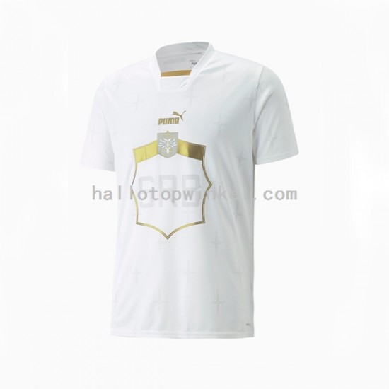 Servië Voetbalshirt Heren Uit Tenue WK 2022 Korte Mouw