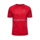 Denemarken Voetbalshirt Heren Thuis Tenue WK 2022 Korte Mouw