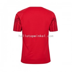 Denemarken Voetbalshirt Heren Thuis Tenue WK 2022 Korte Mouw