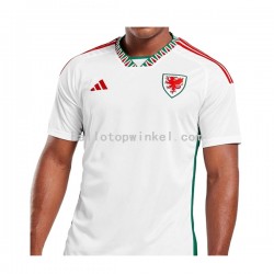 Wales Voetbalshirt Heren Uit Tenue WK 2022 Korte Mouw