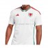 Wales Voetbalshirt Heren Uit Tenue WK 2022 Korte Mouw