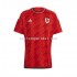 Wales Voetbalshirt Heren Thuis Tenue WK 2022 Korte Mouw