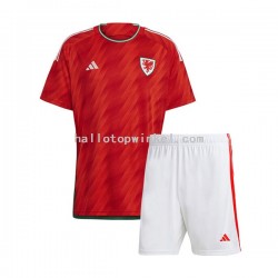Wales Voetbalshirt Kleuters/Kids Thuis Tenue WK 2022 Korte Mouw