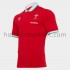 Welsh rugbyteam Classic Thuis Tenue 2020-2021 Korte Mouw