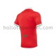Welsh rugbyteam Thuis Tenue 2020-2021 Korte Mouw